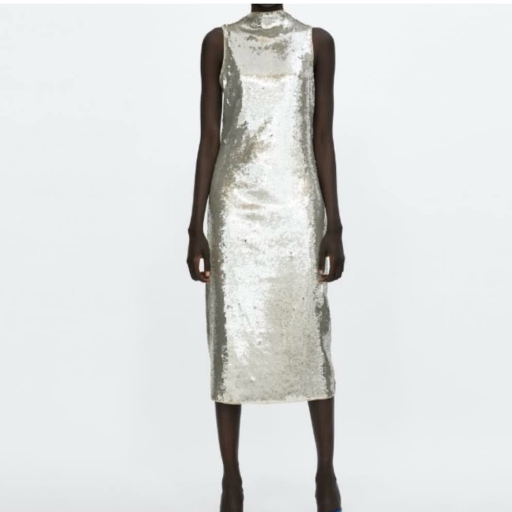 Fun Zara midi sequin dress!